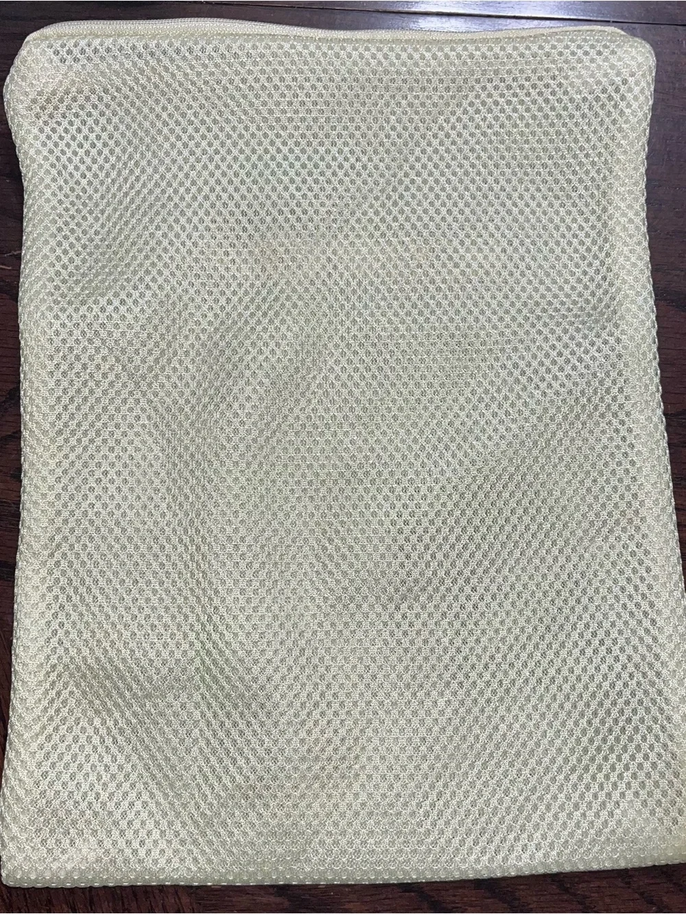 Honeylove Cream Mesh Delicate Wash Bag